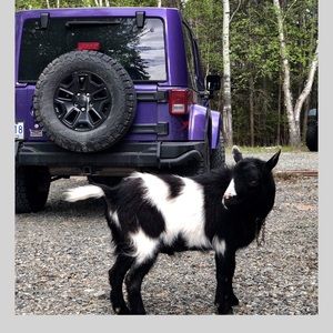 Meet your Posher, Brittany